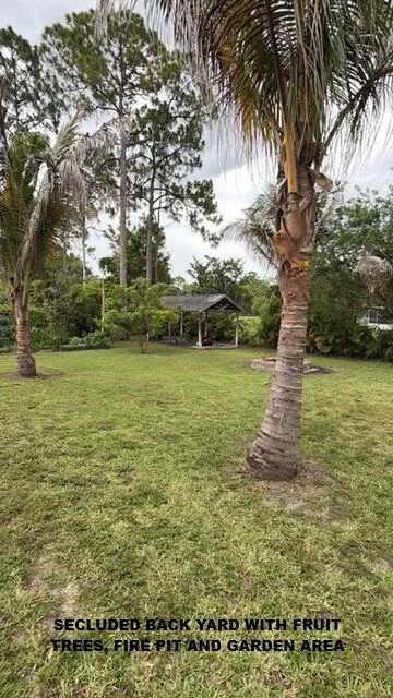 back yard