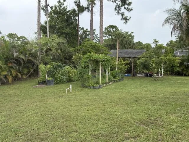 fruit trees, garden area