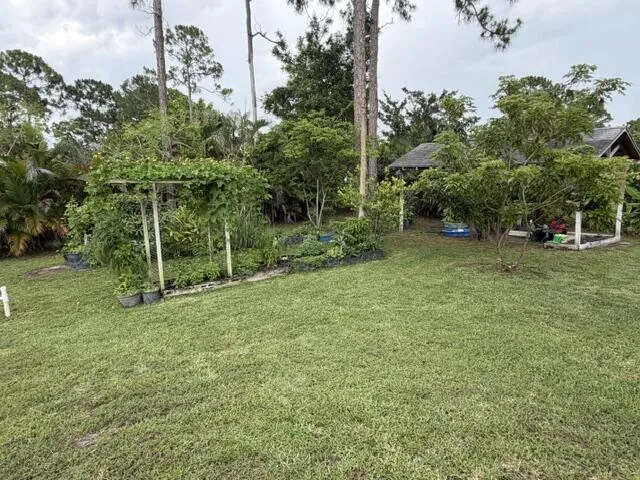fruit trees, garden area