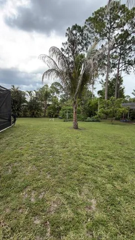 back yard