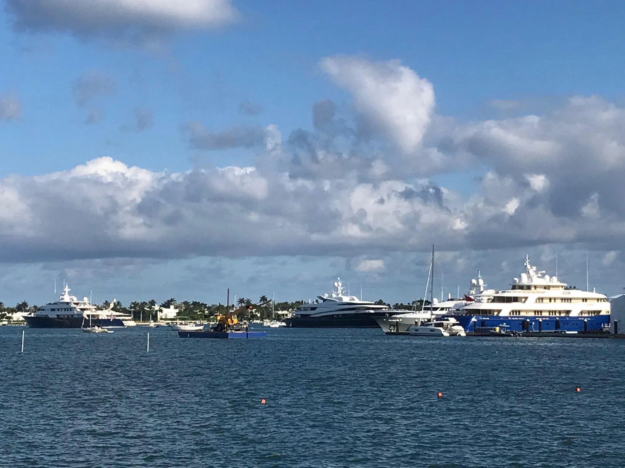 Palm beach
