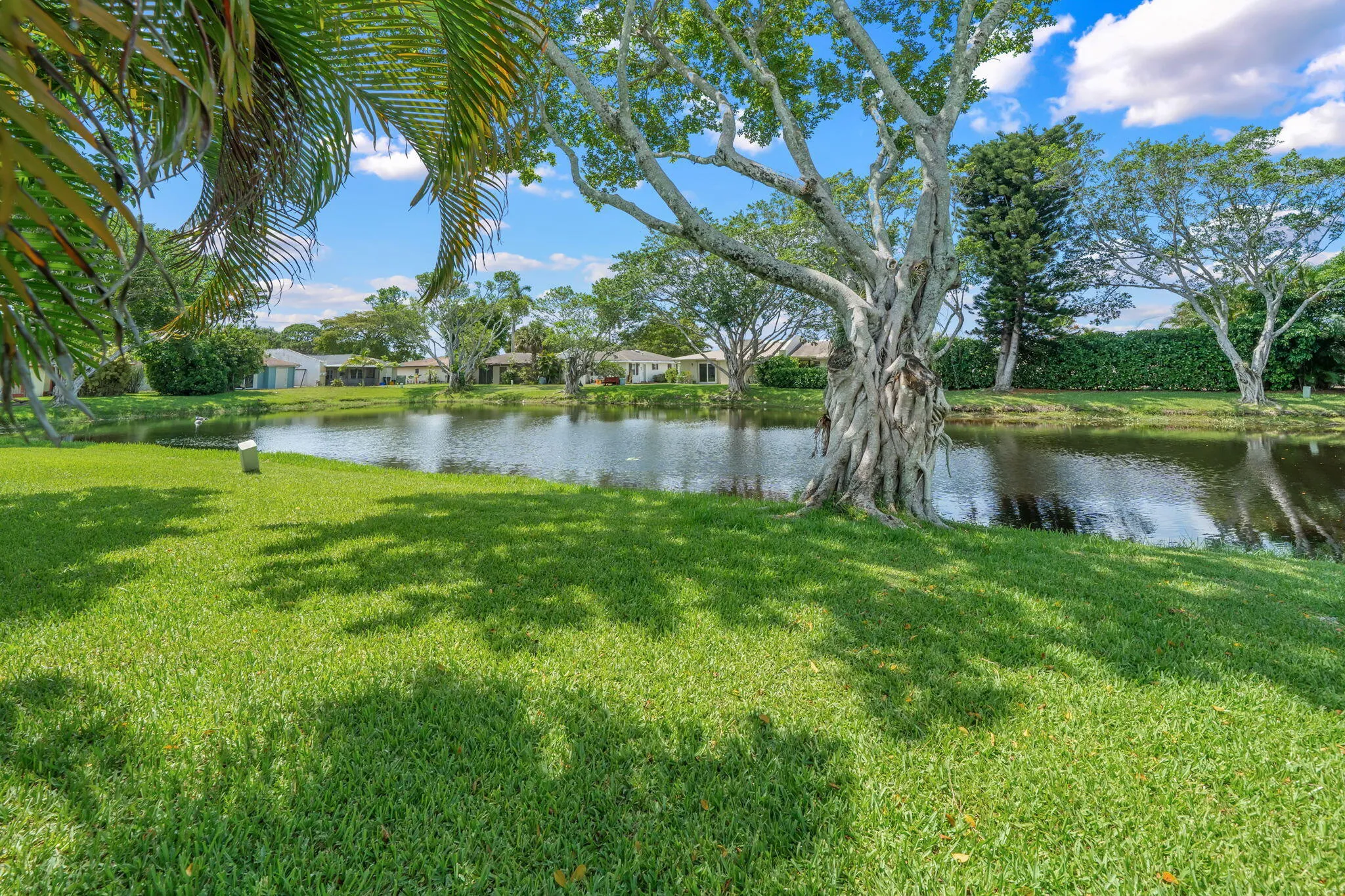 28-web-or-mls-DSC07748