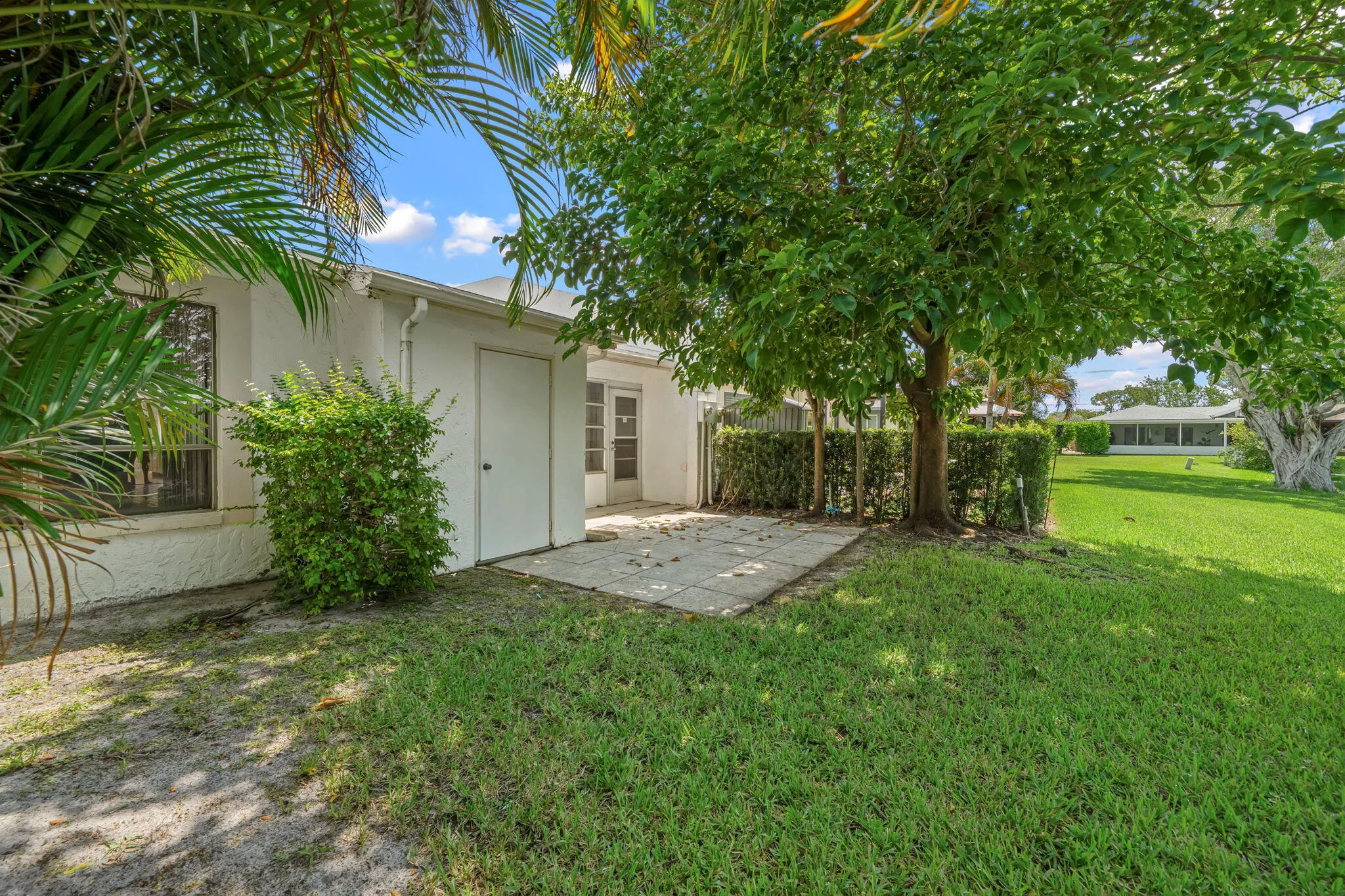 29-web-or-mls-DSC07752