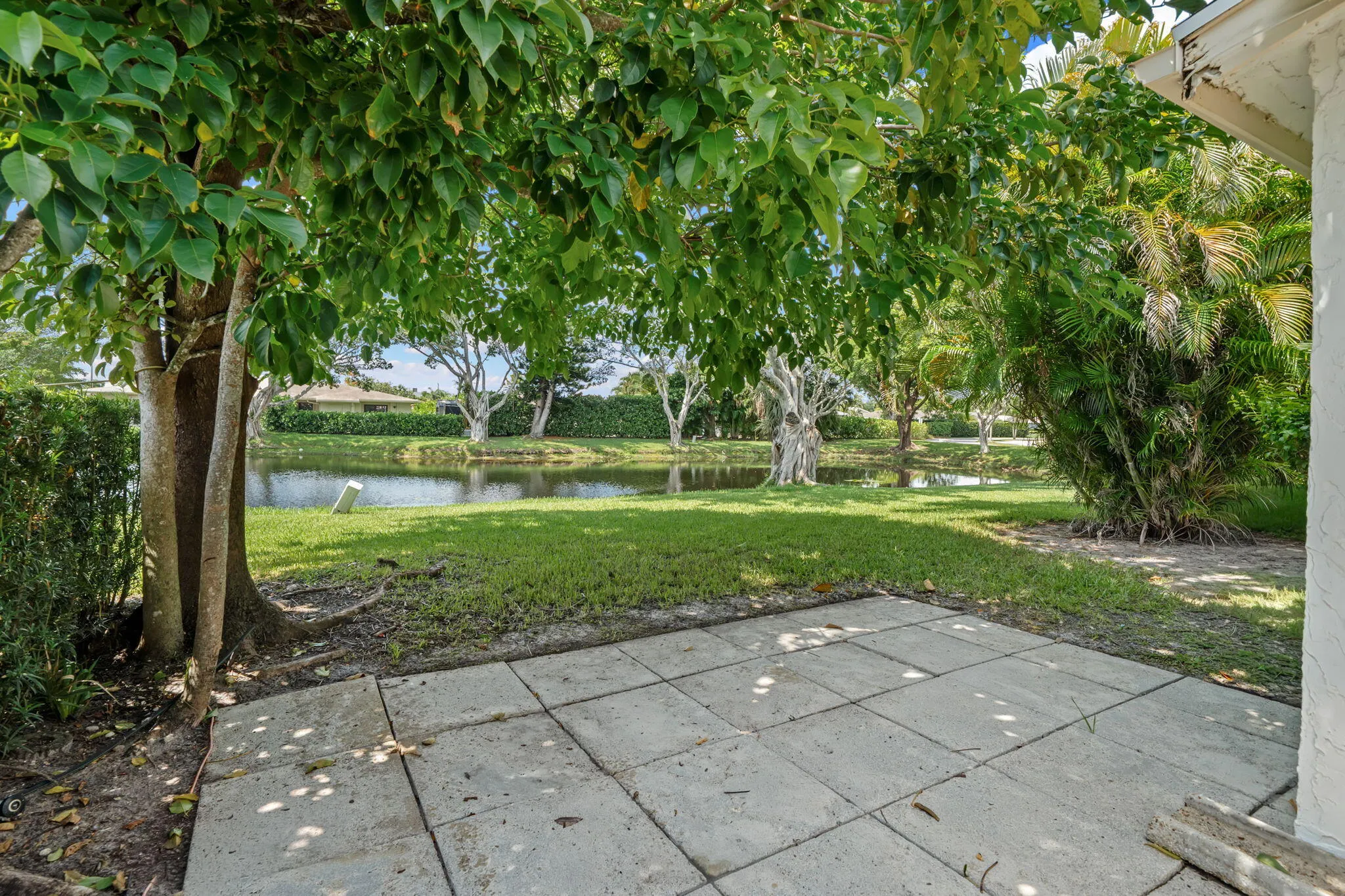 27-web-or-mls-DSC07738