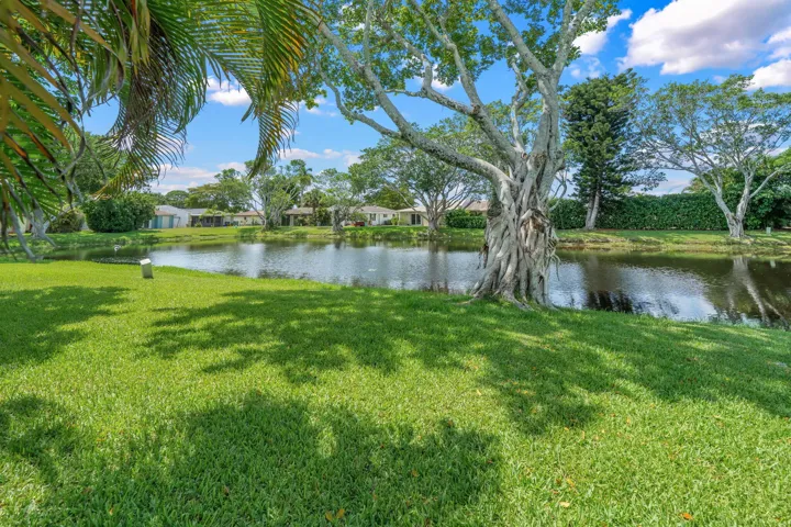 28-web-or-mls-DSC07748