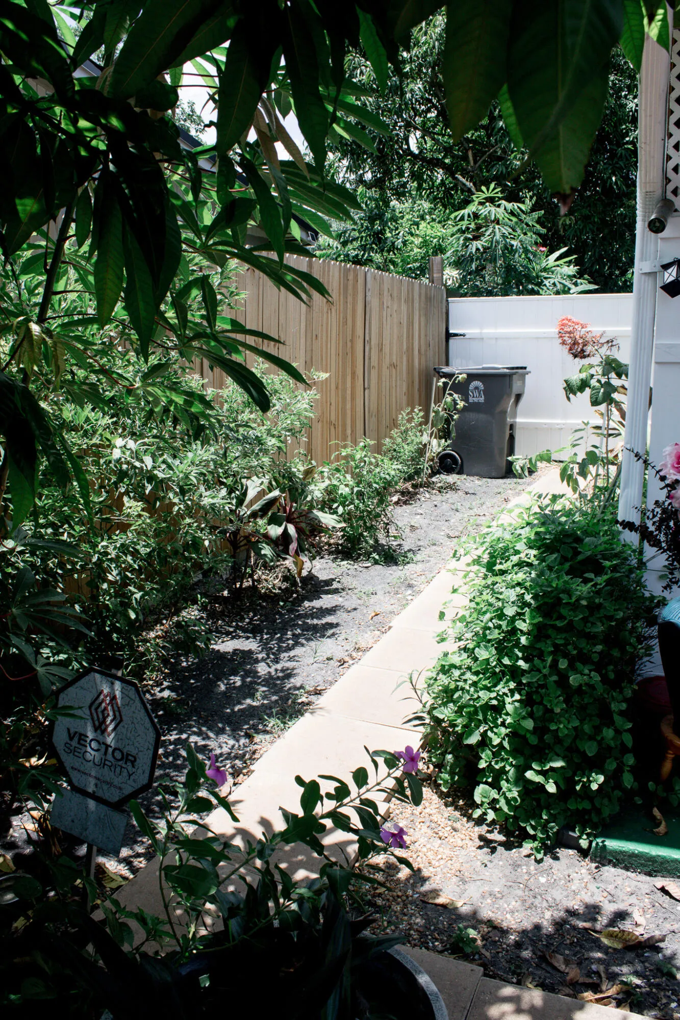 Side Yard