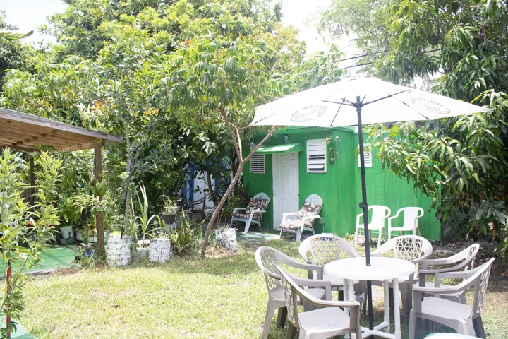 Backyard Shed