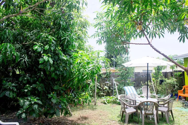 Backyard