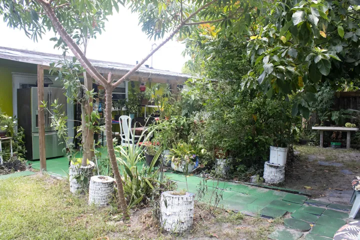 Backyard