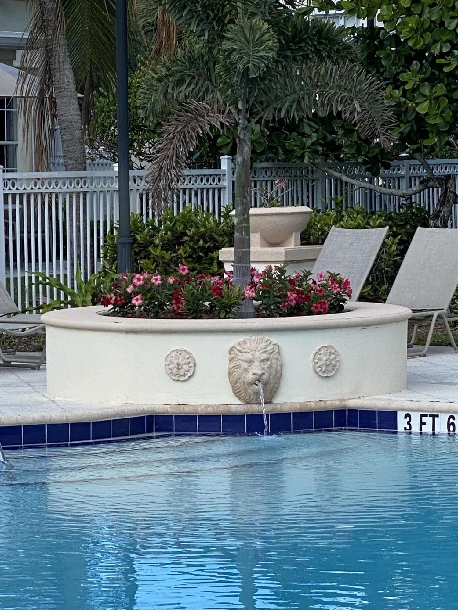 Lion Fountain