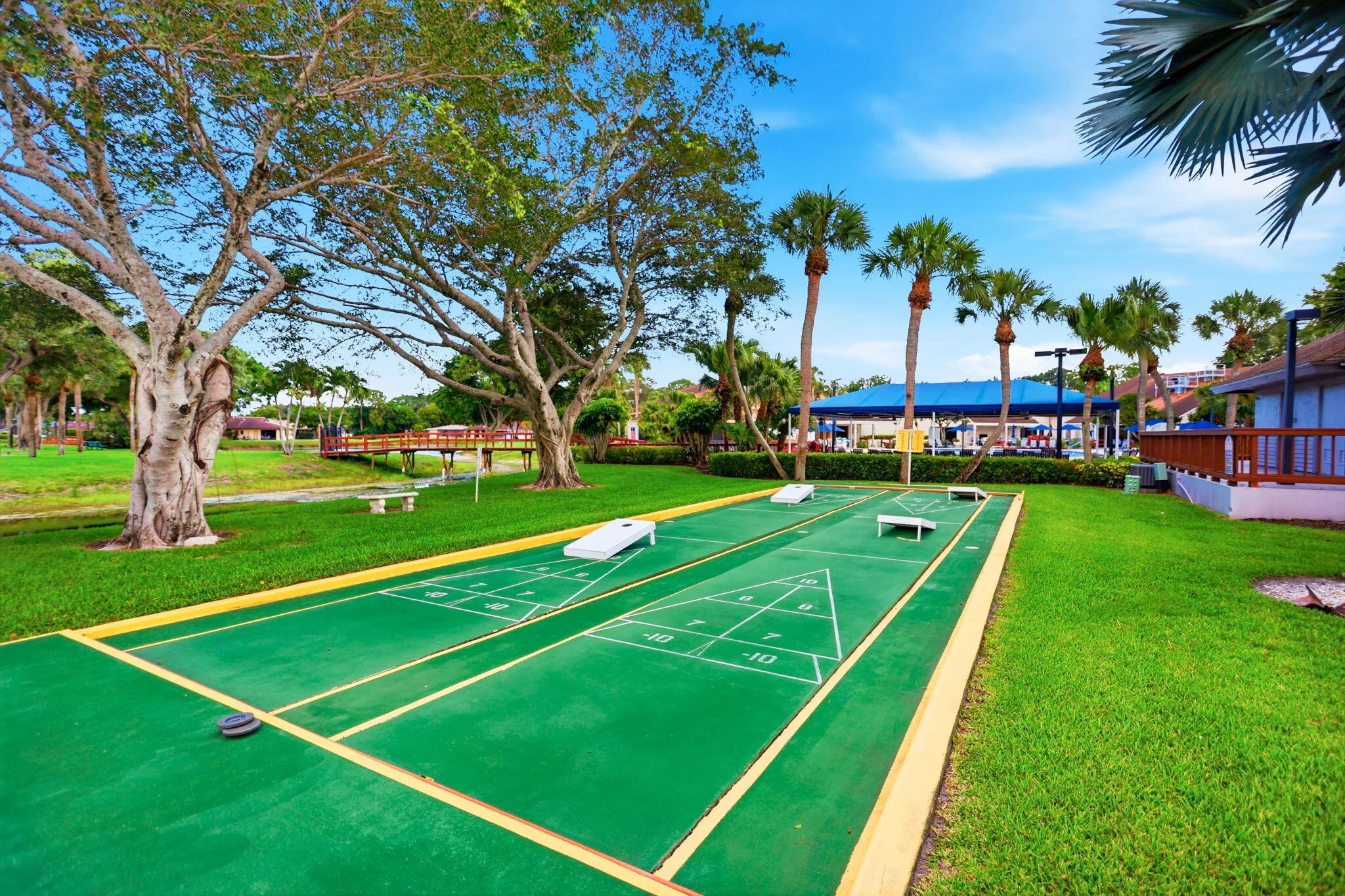 Shuffleboard