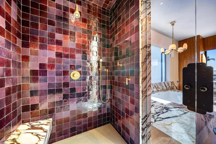 Primary Shower