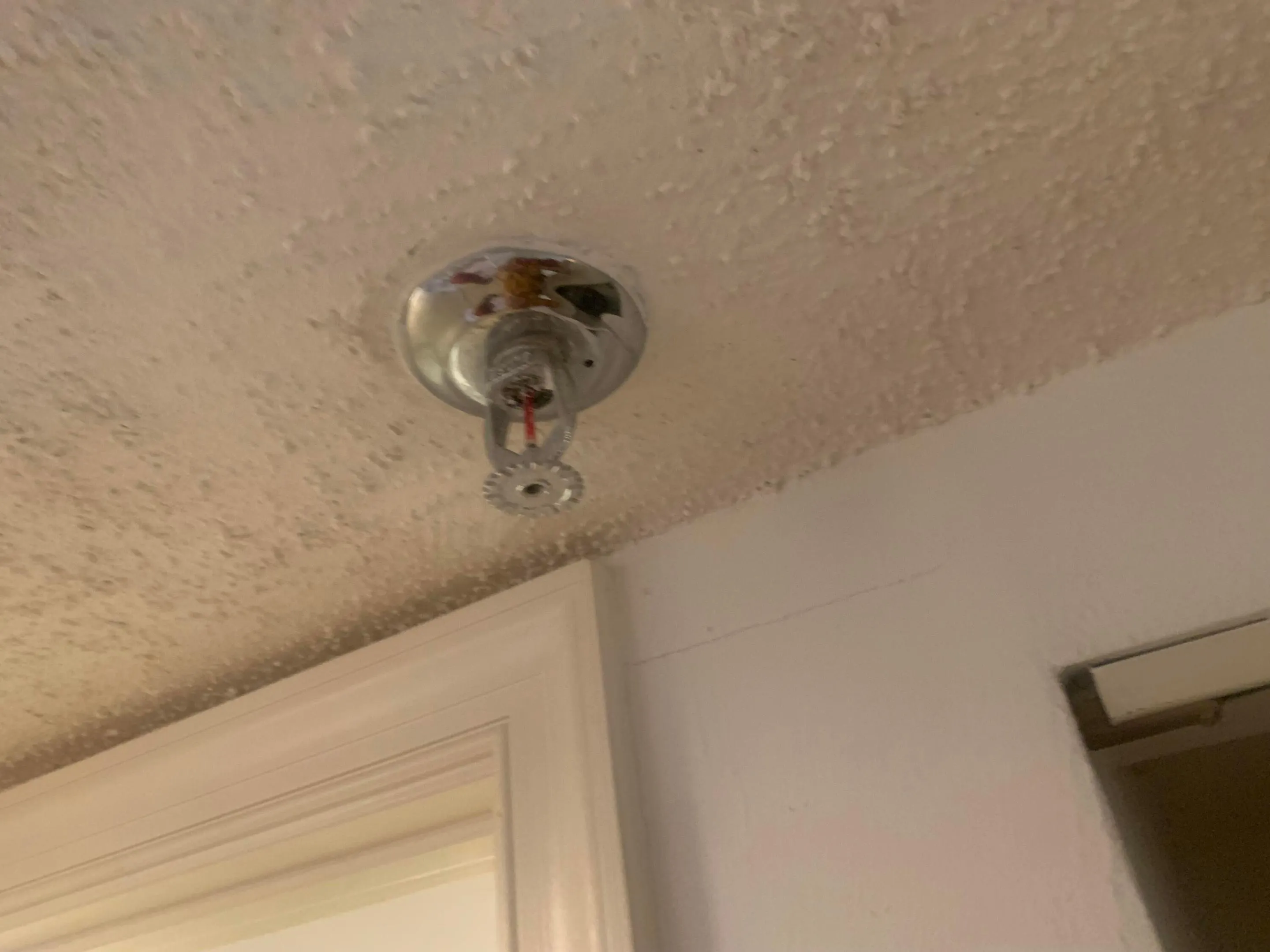 fire sprinkler system INSIDE unit