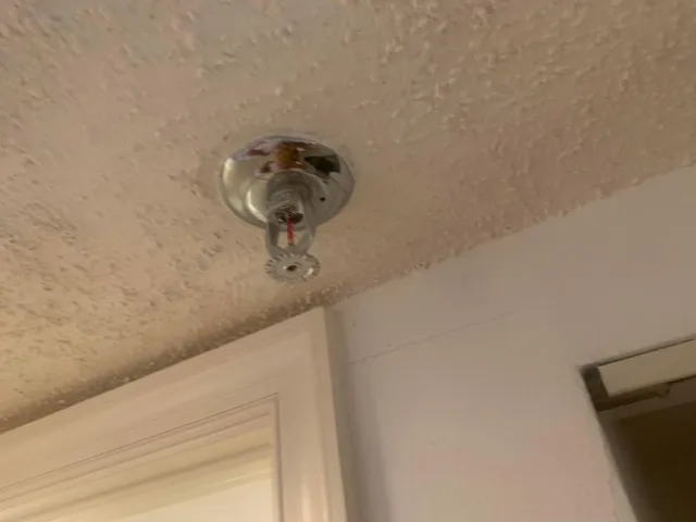 fire sprinkler system INSIDE unit