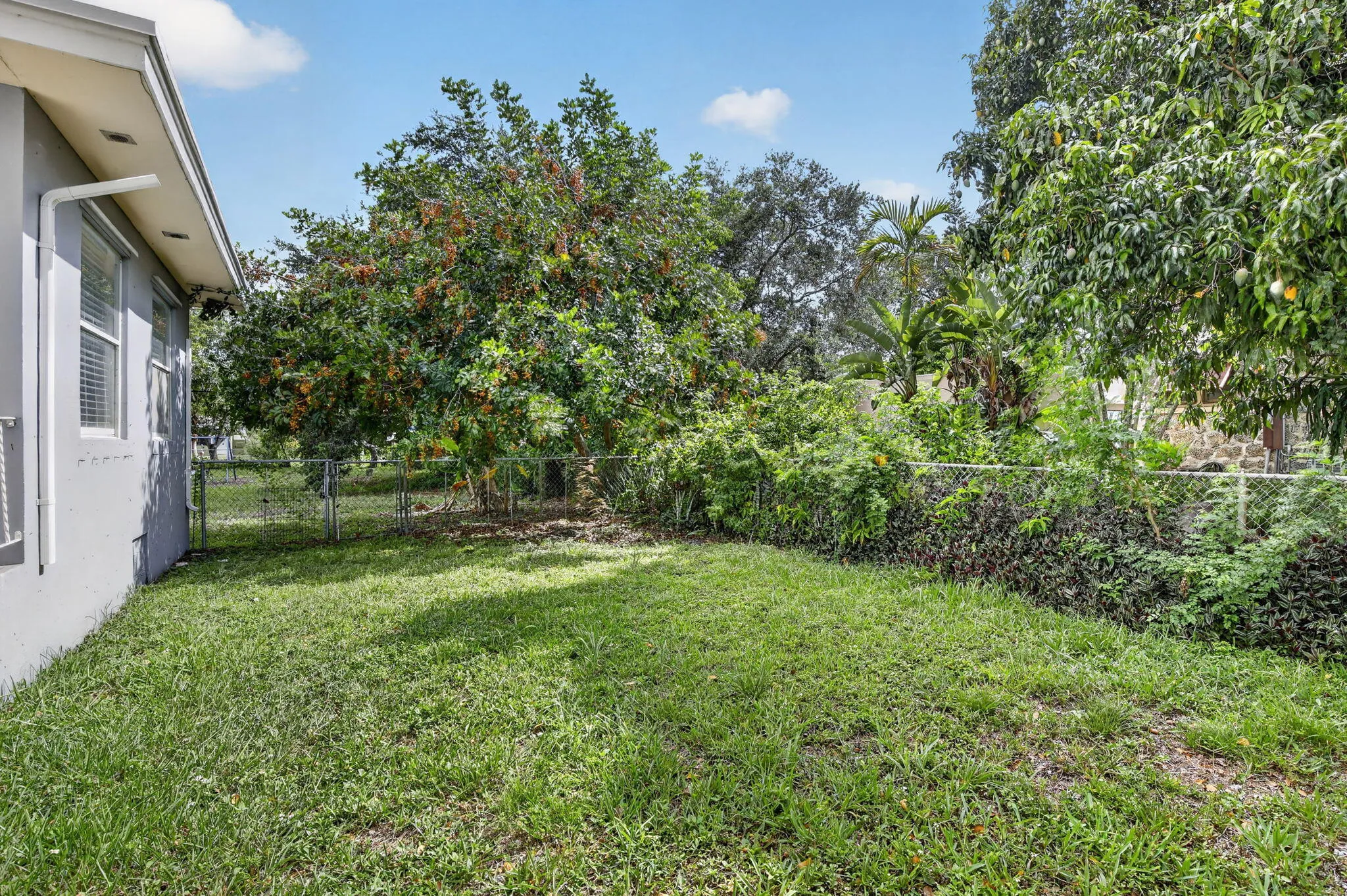 42-web-or-mls-_A7A2760