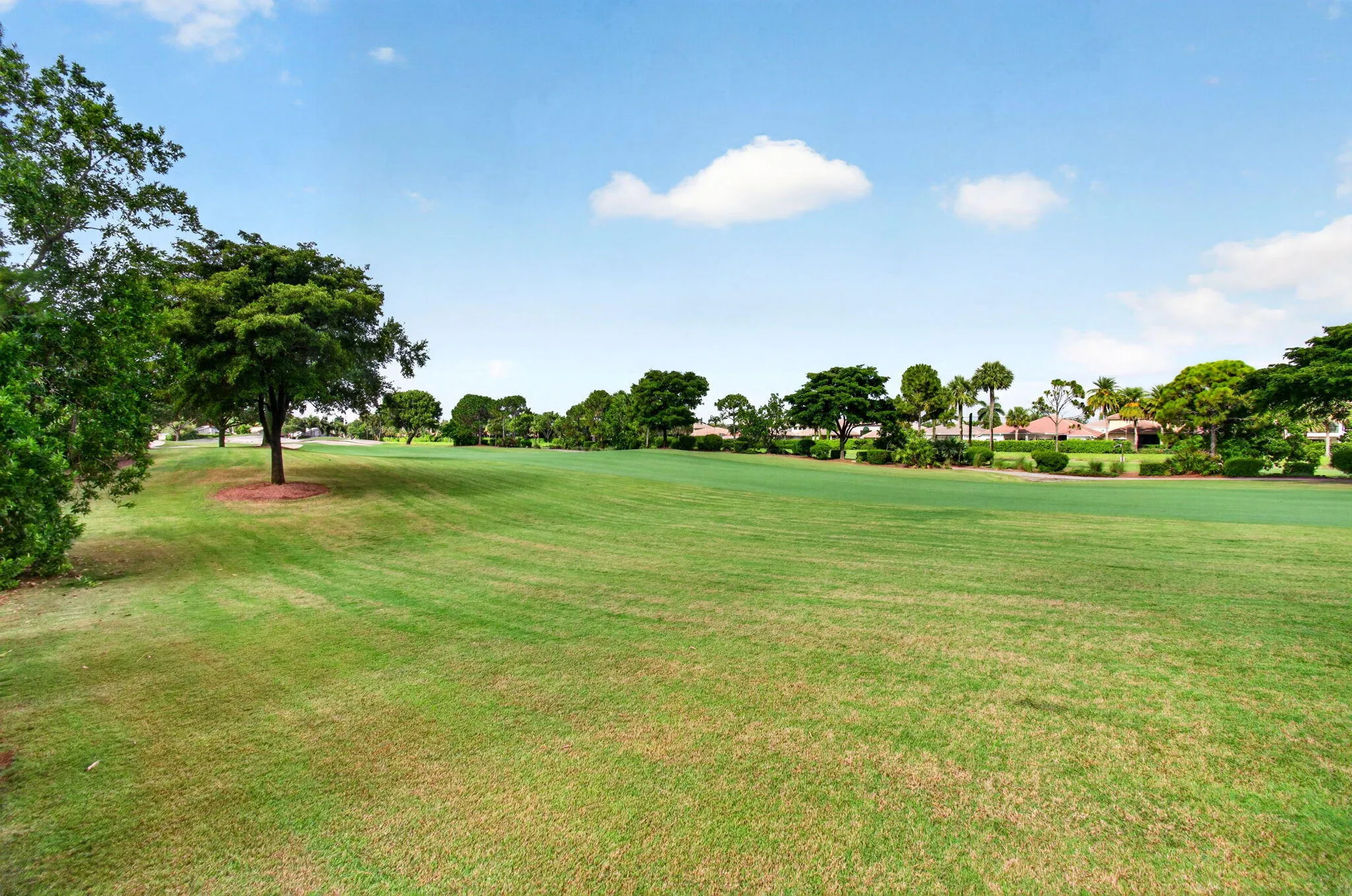 view in back of property