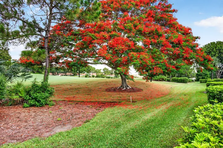 View from Back of Property
