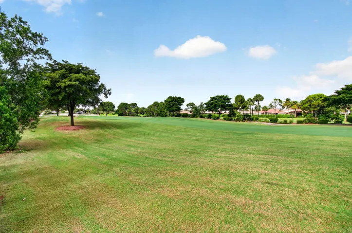 view in back of property