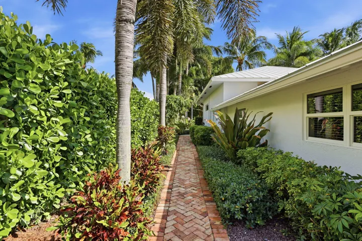 Side yard