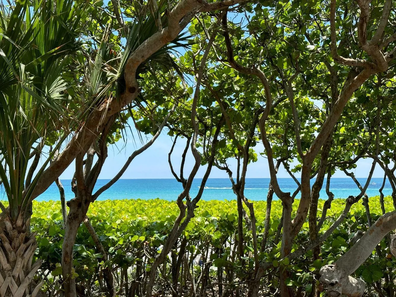 5 miles to the beach
