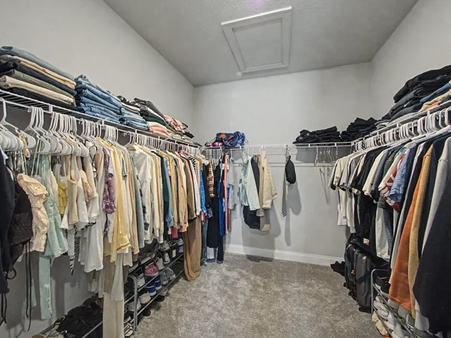 Master Closet