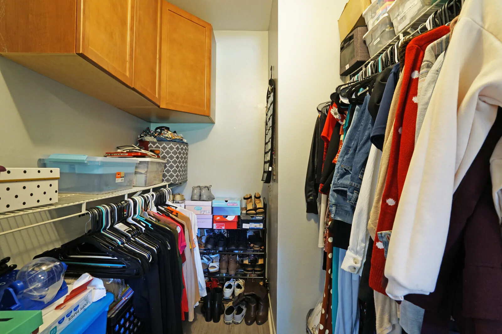17_Image01_mls