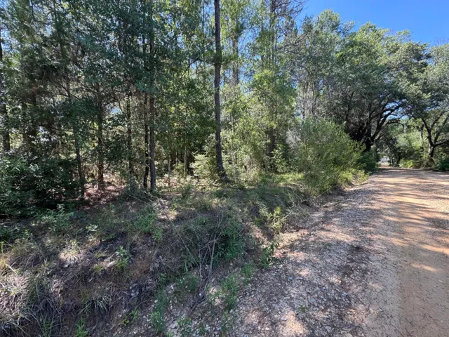 Wooded Acreage