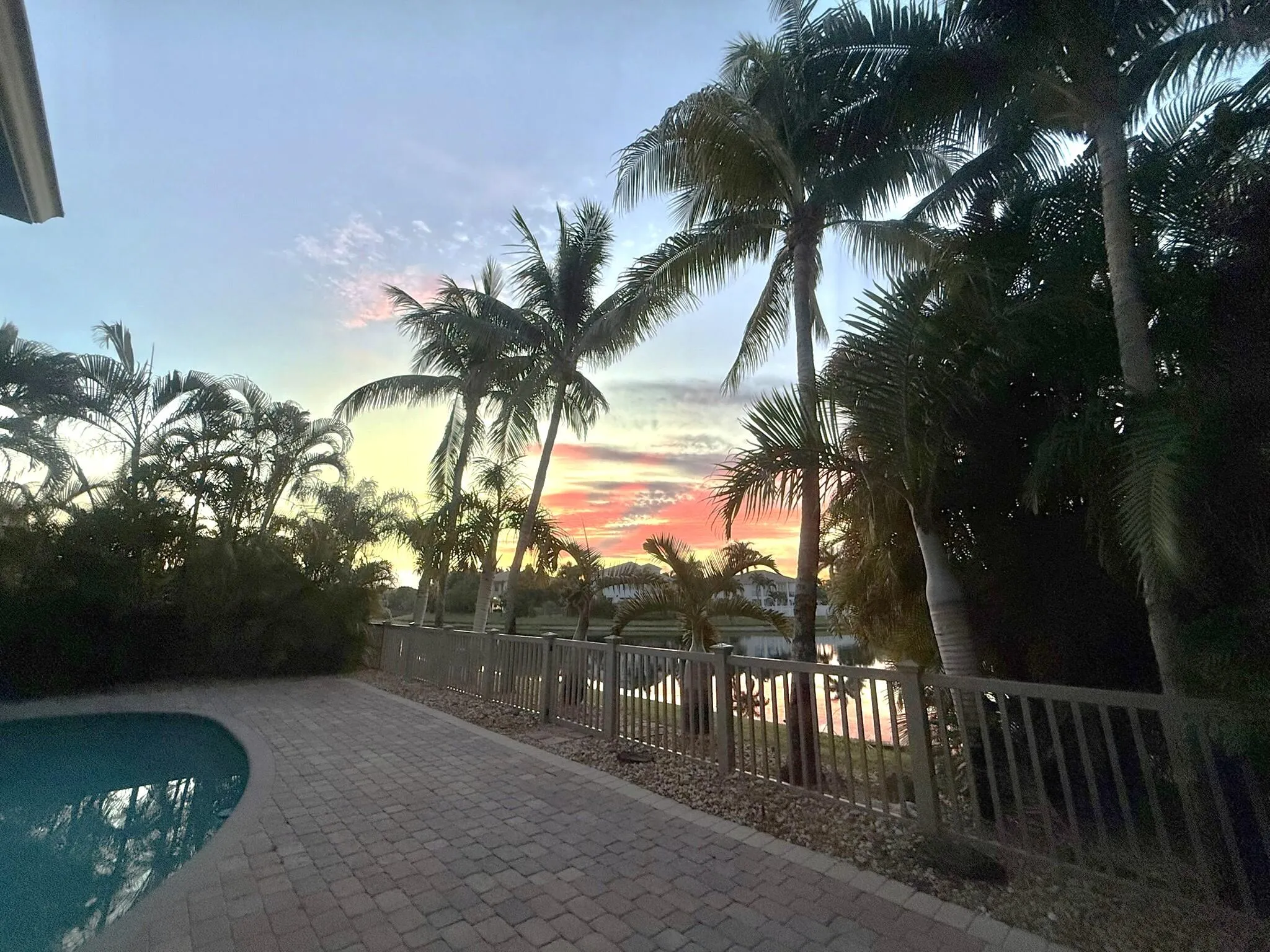 IMG_5084 (1)