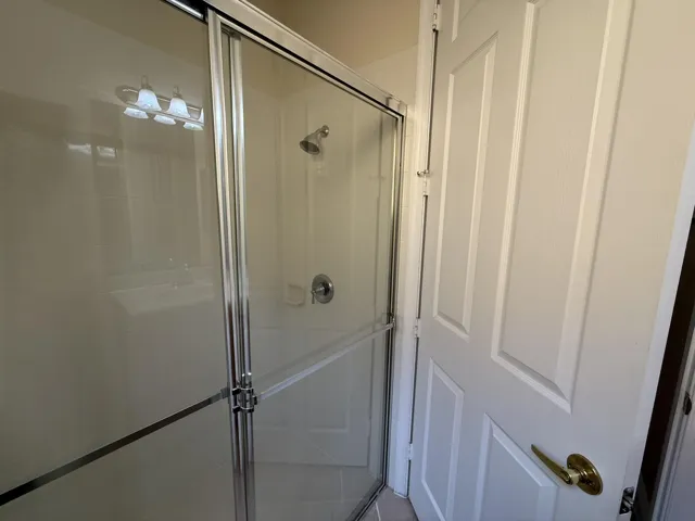 Downstairs Full Bathroom Shower