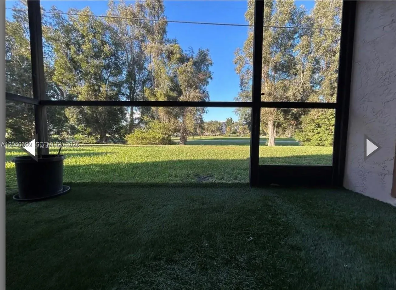 View from sunroom