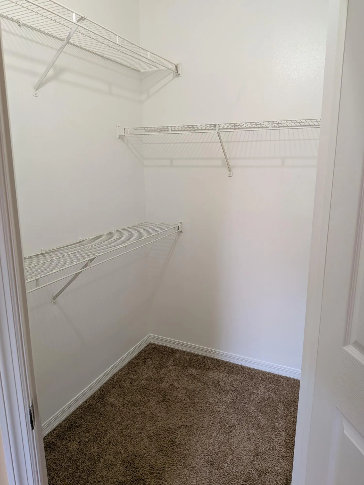 UNIT 513 2ND BEDROOM CLOSET - Copy