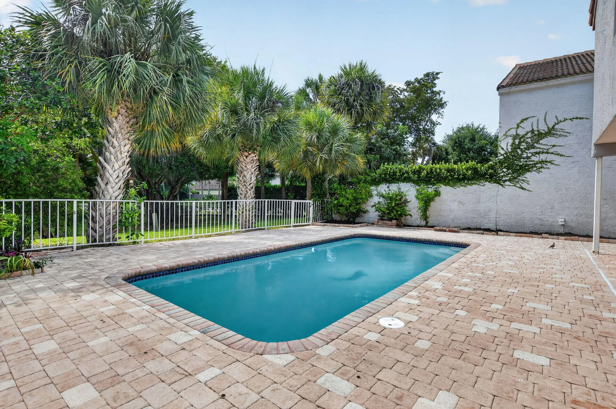 Pool/Patio