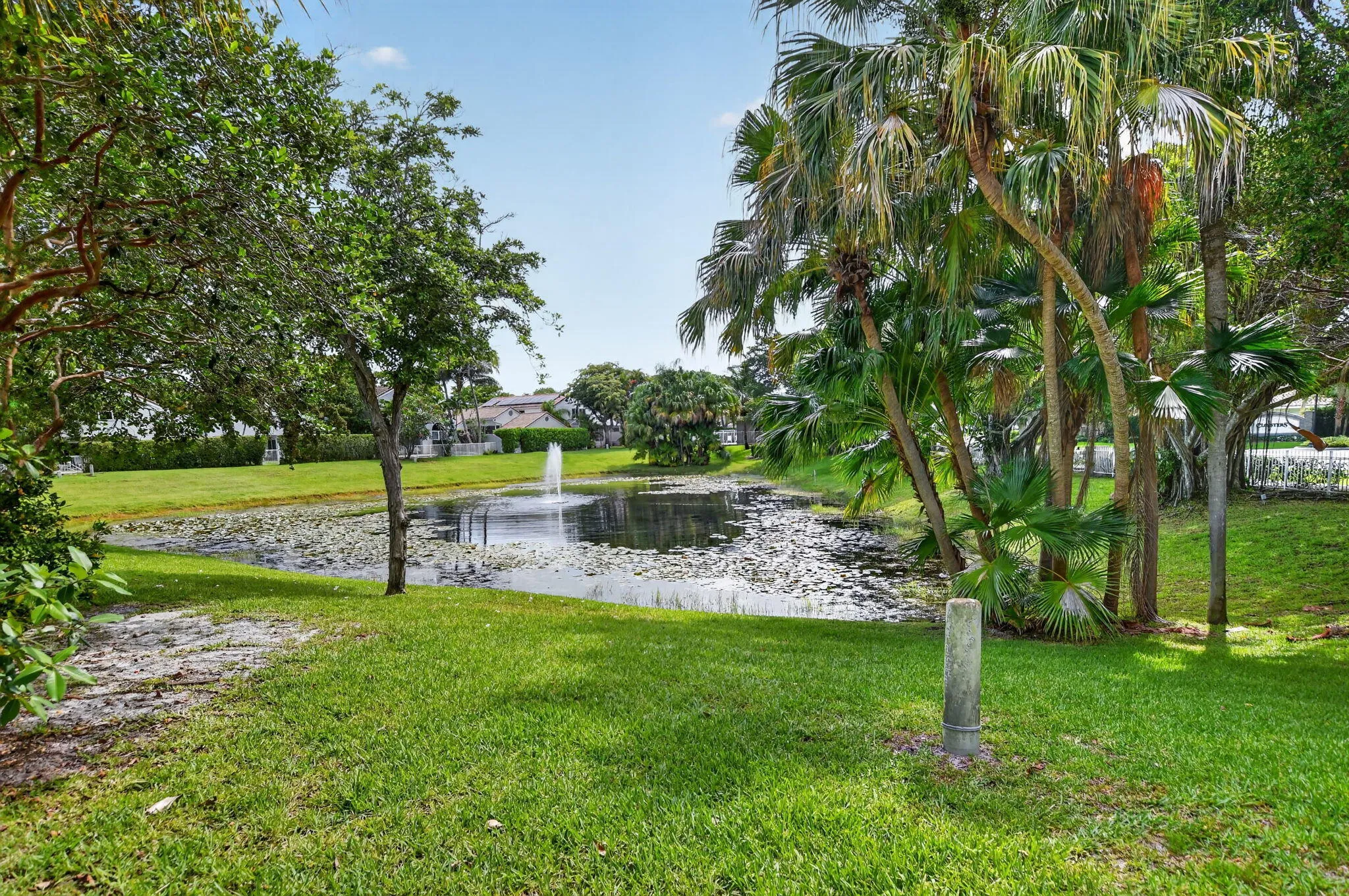 Lake view from backyard