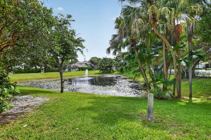 Lake view from backyard