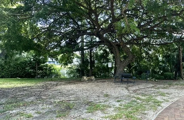 Patio View