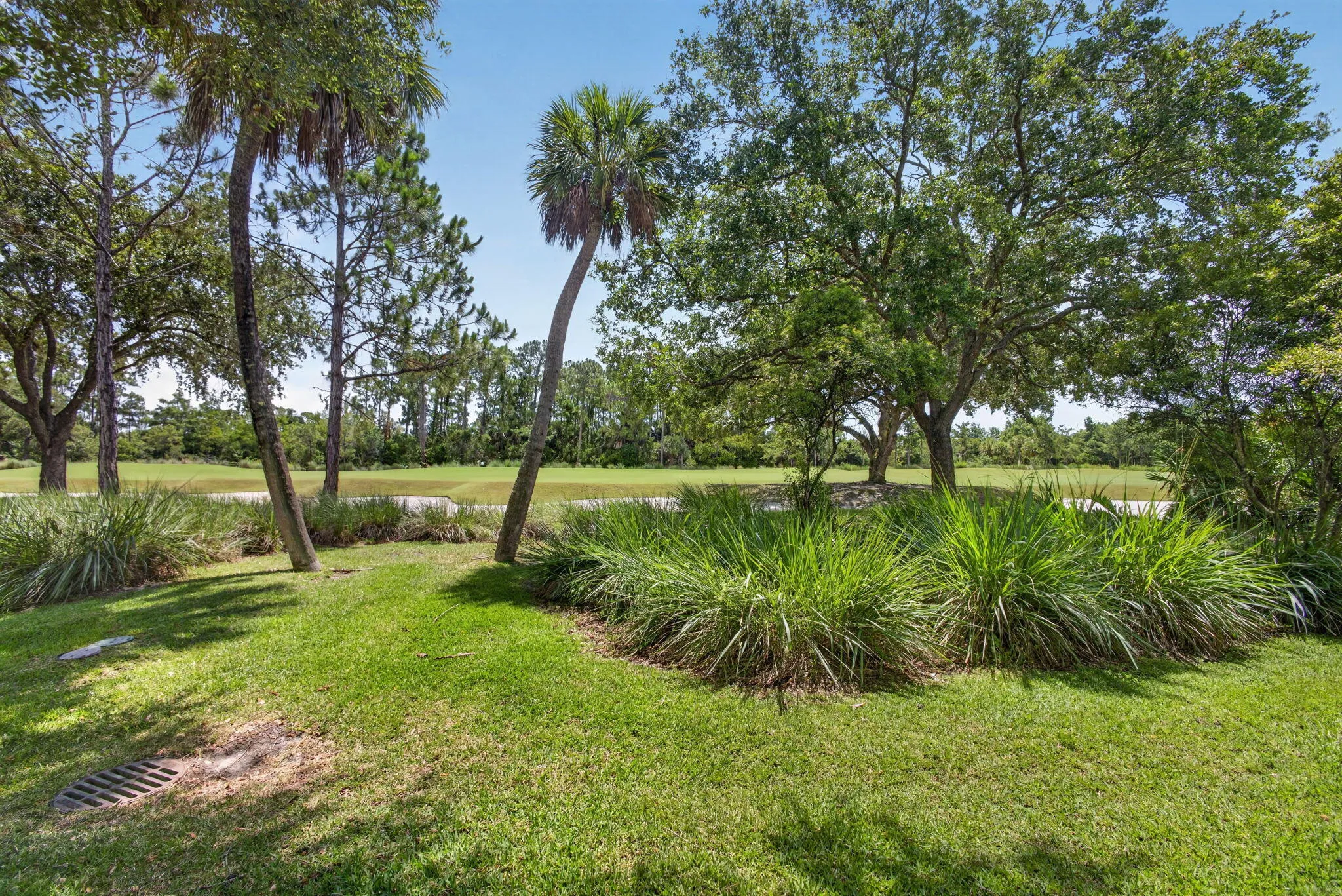 48-web-or-mls-5D1A4978