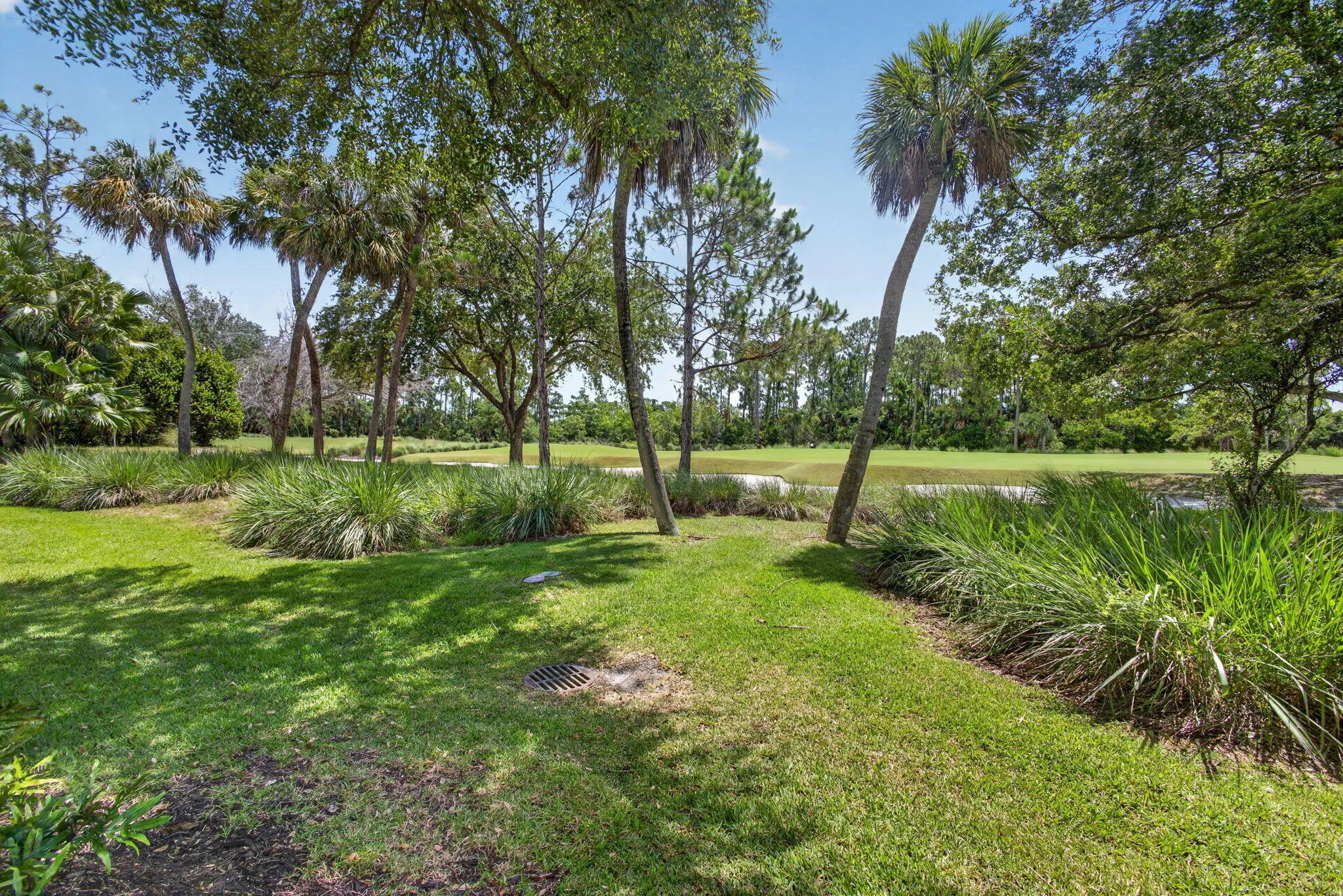 49-web-or-mls-5D1A4983