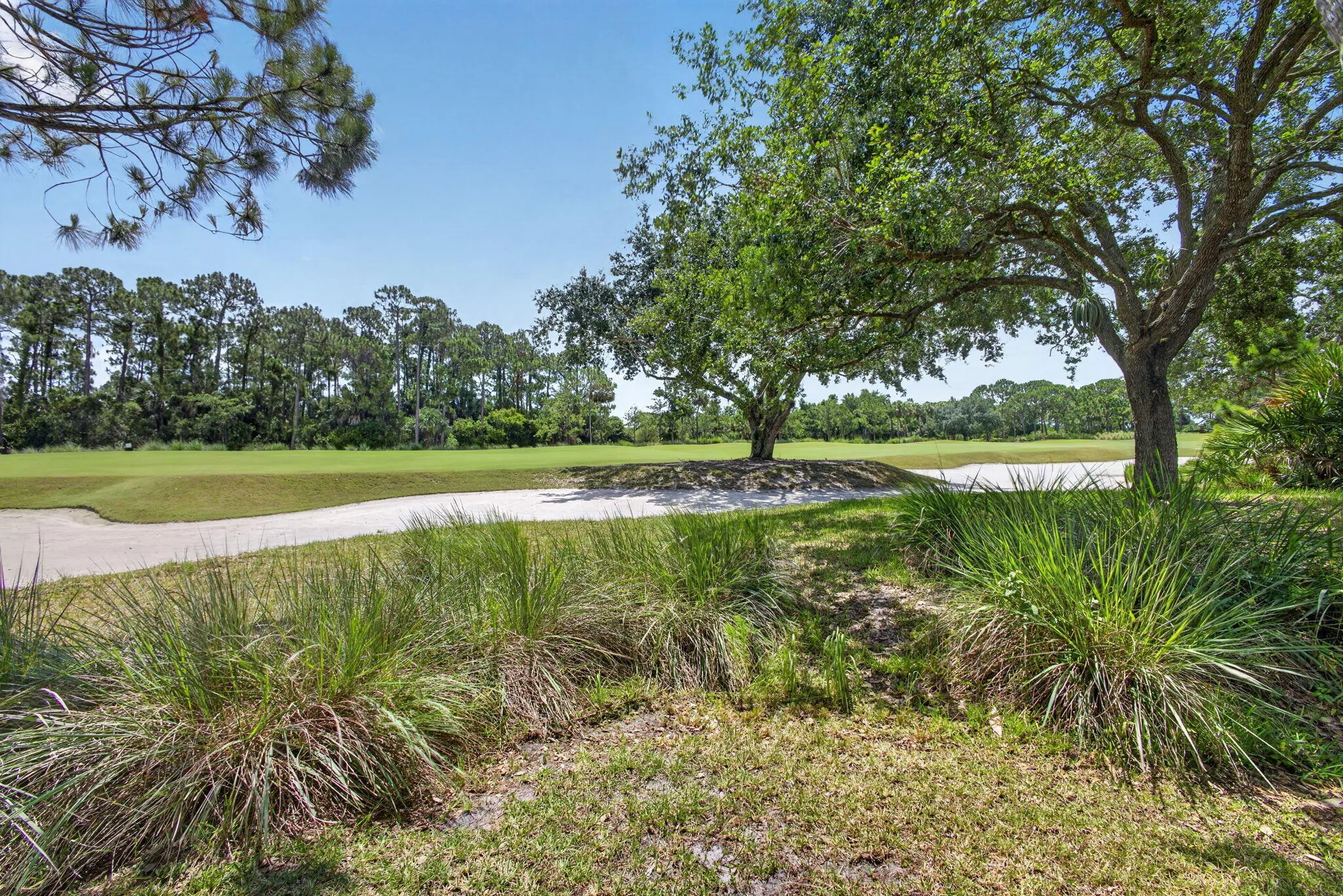 50-web-or-mls-5D1A4987