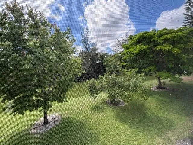 View Out Back