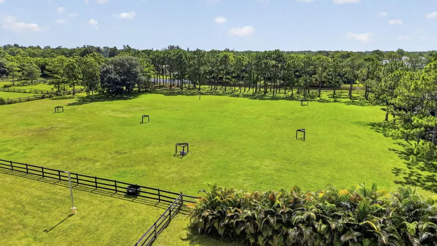 Back Field