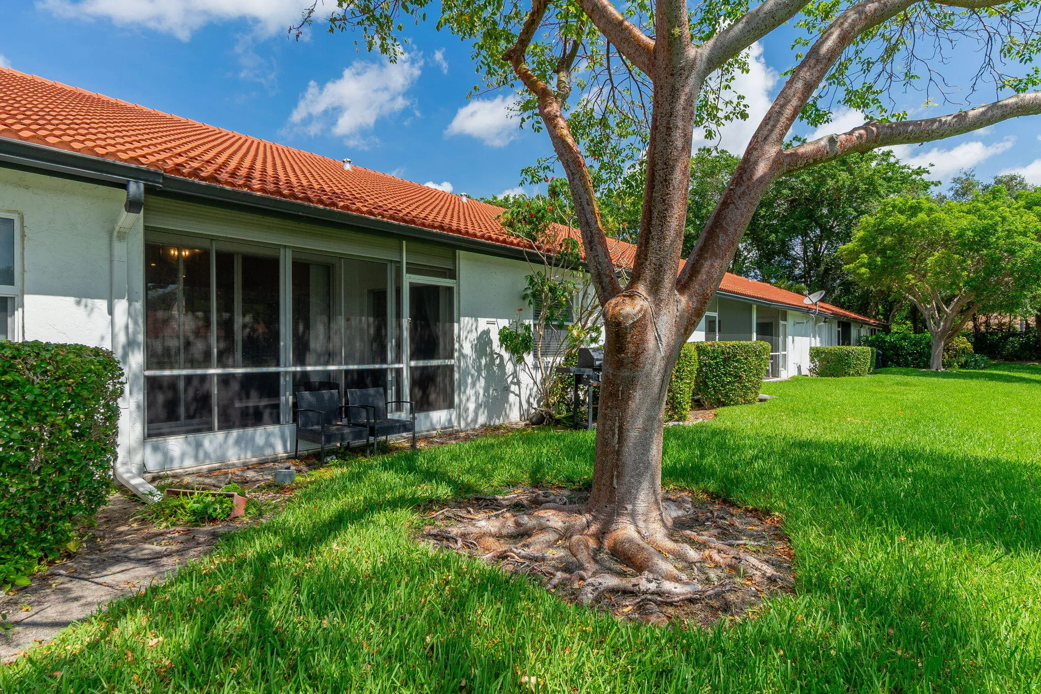 26-web-or-mls-DSC05201