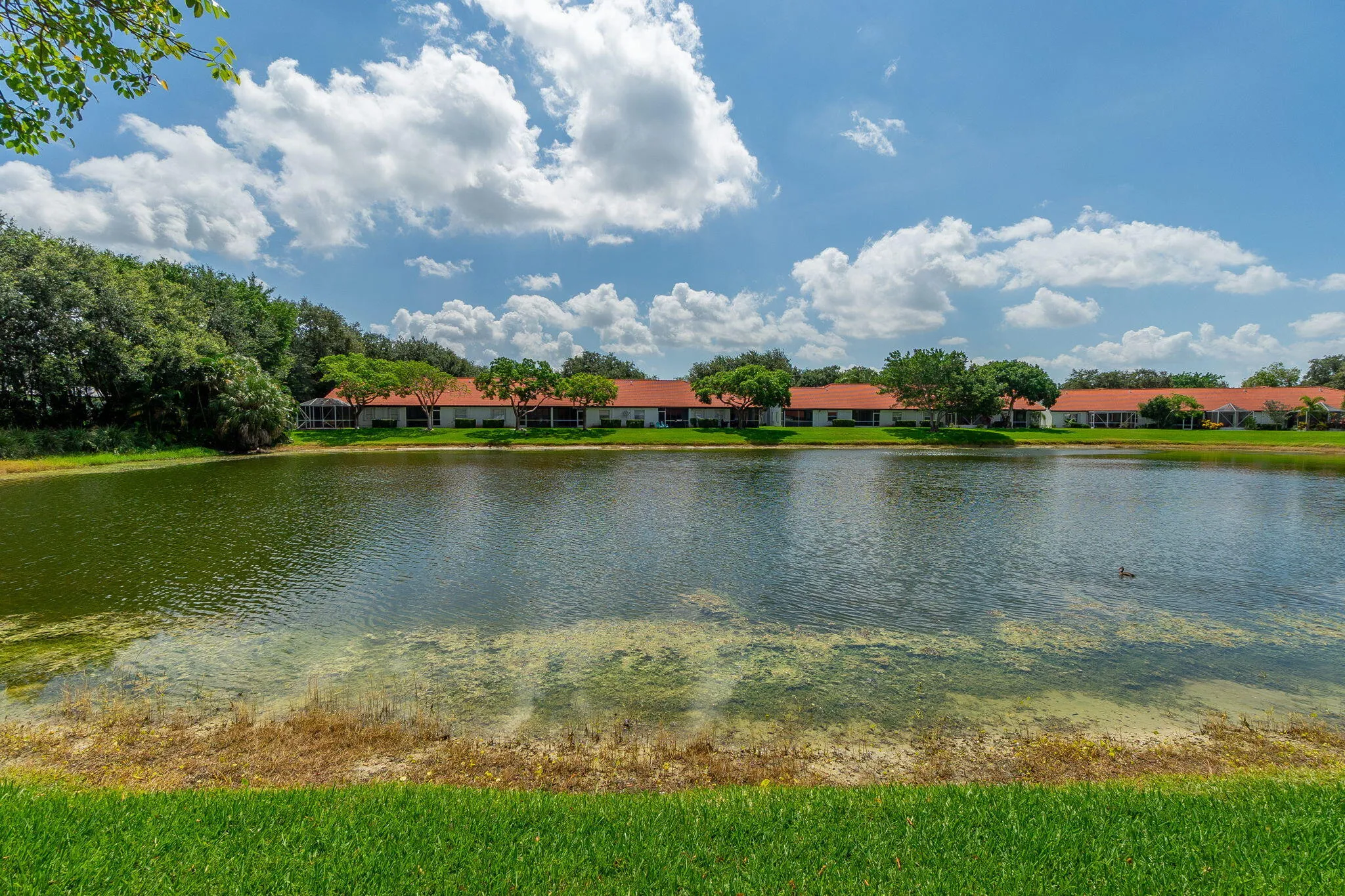28-web-or-mls-DSC05197