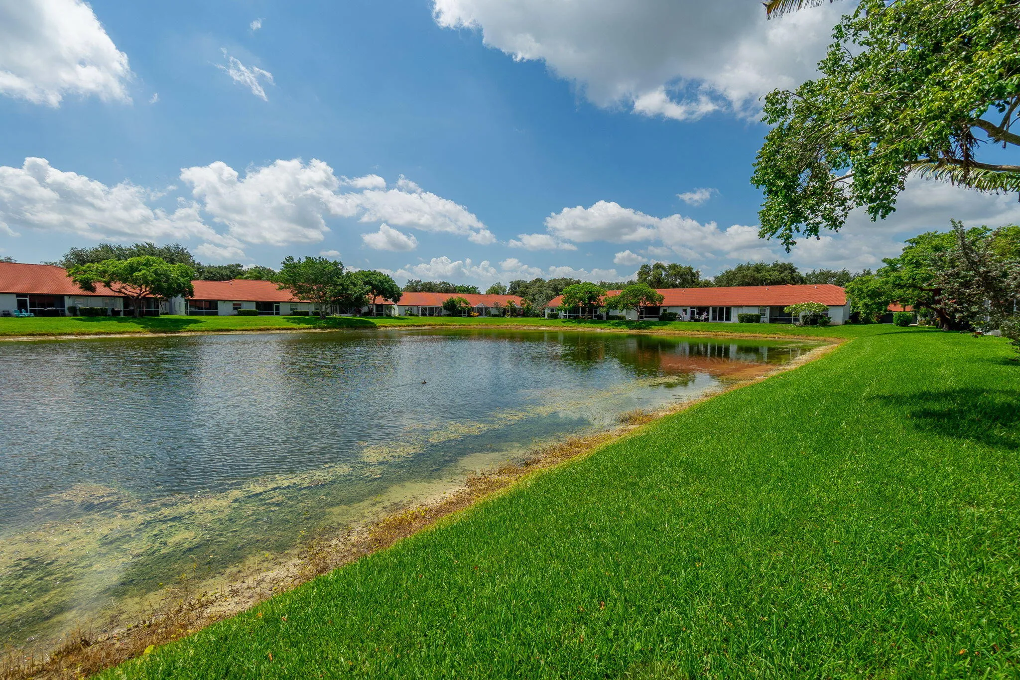 29-web-or-mls-DSC05199