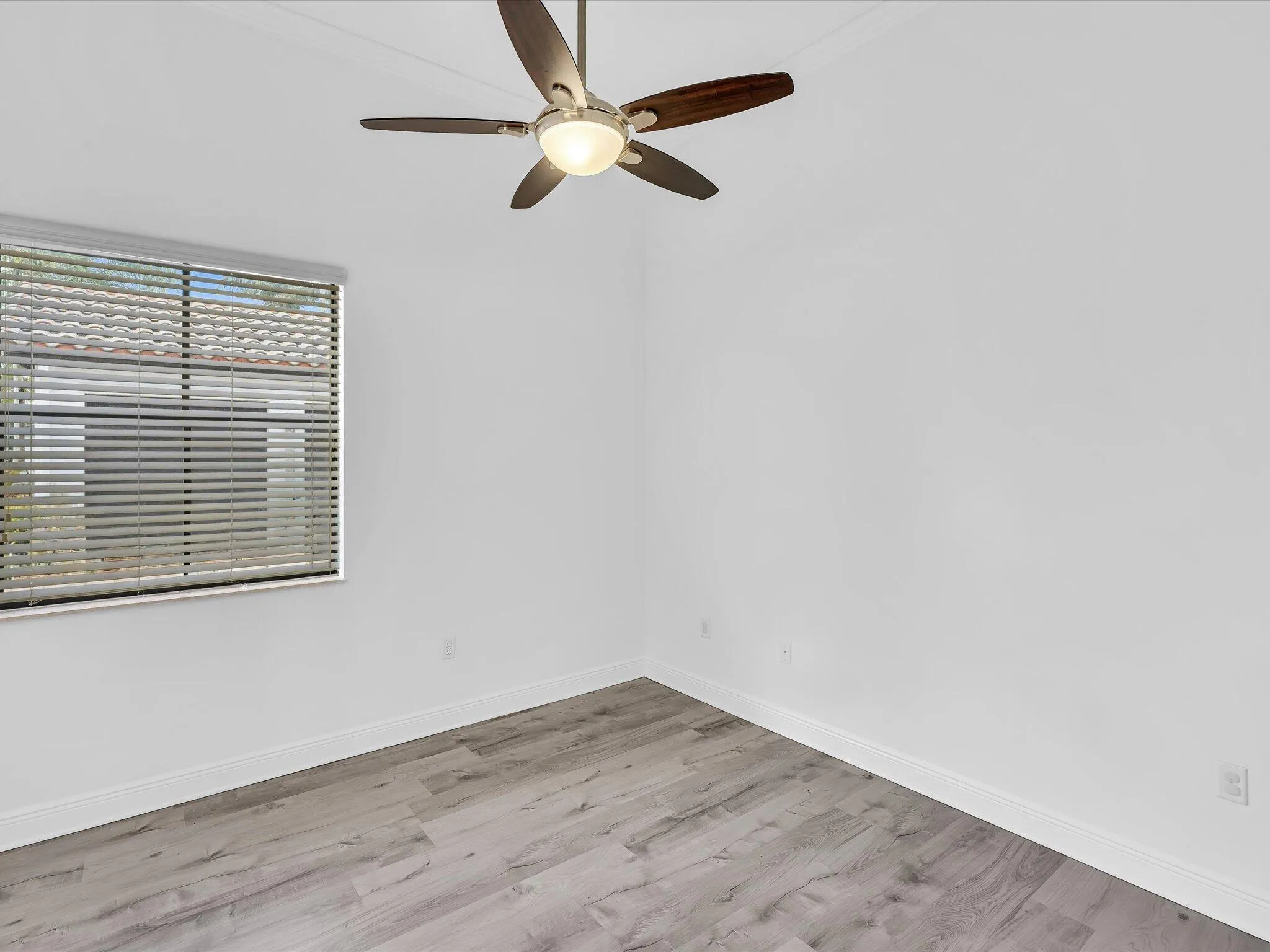 Property photo 54