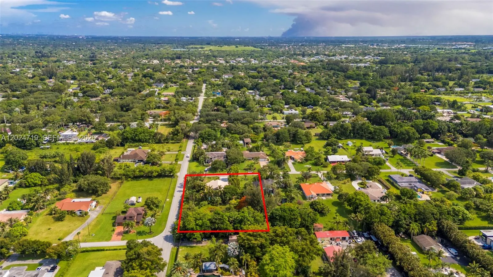 Photo 75