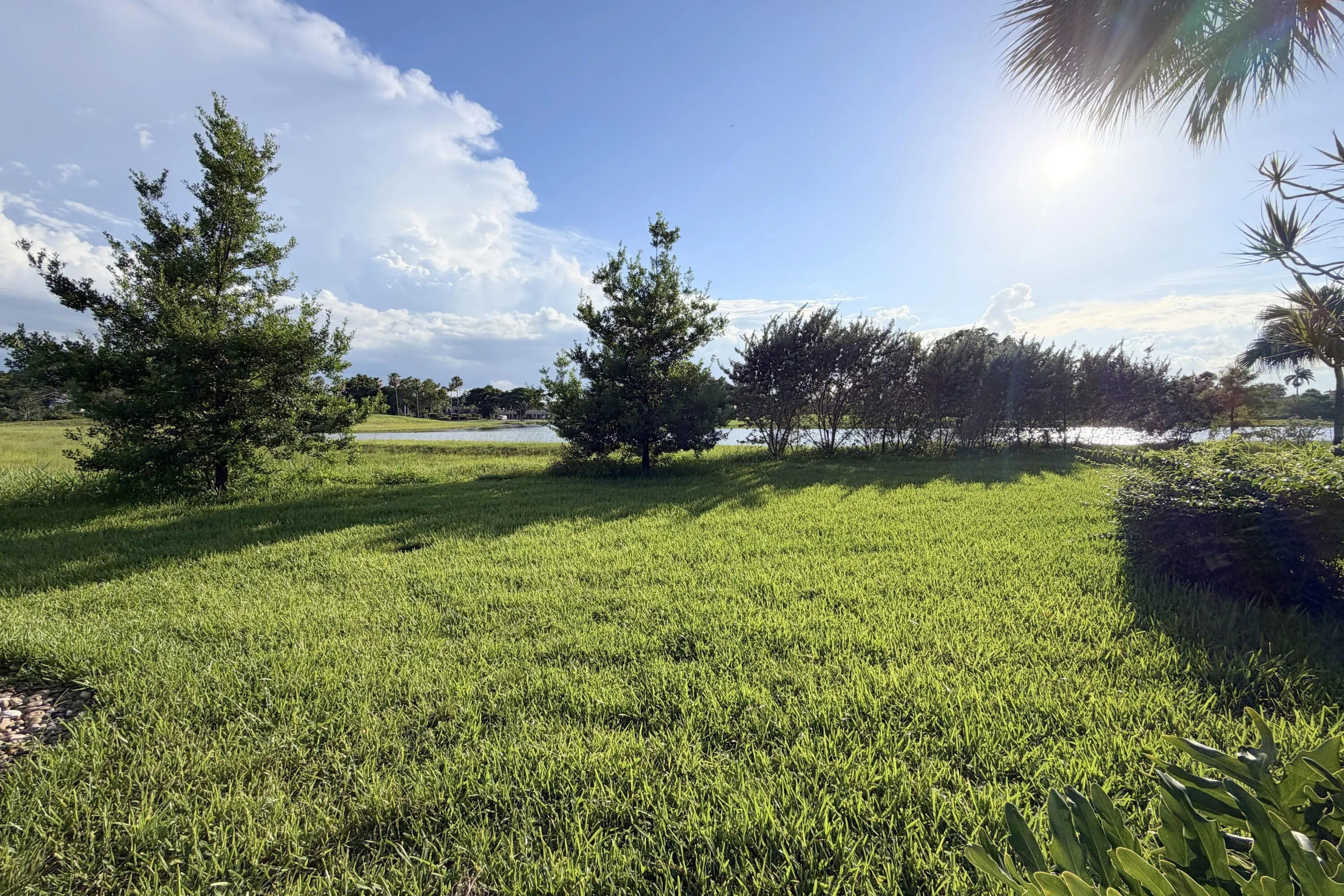 Nature view from patio.