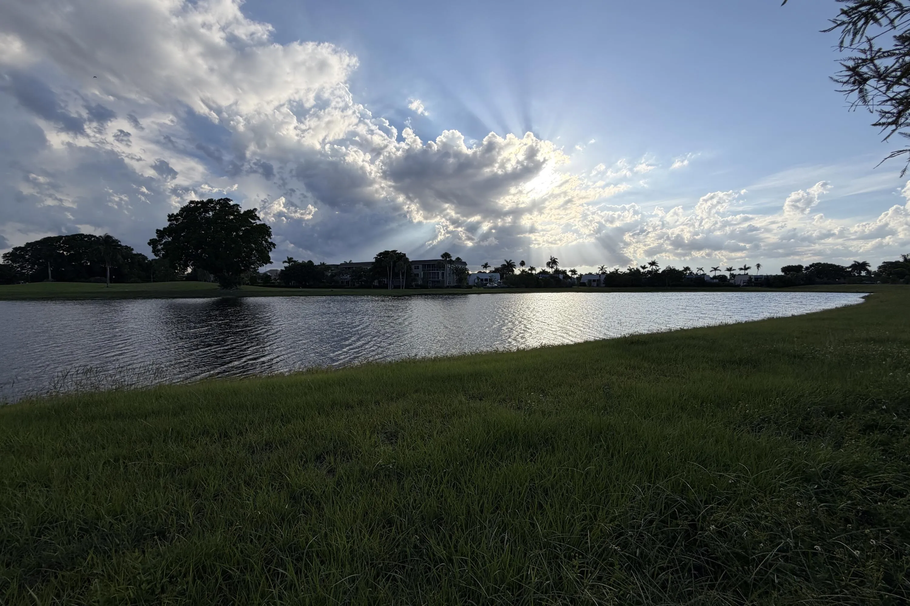 Sunset and wildlife every day.