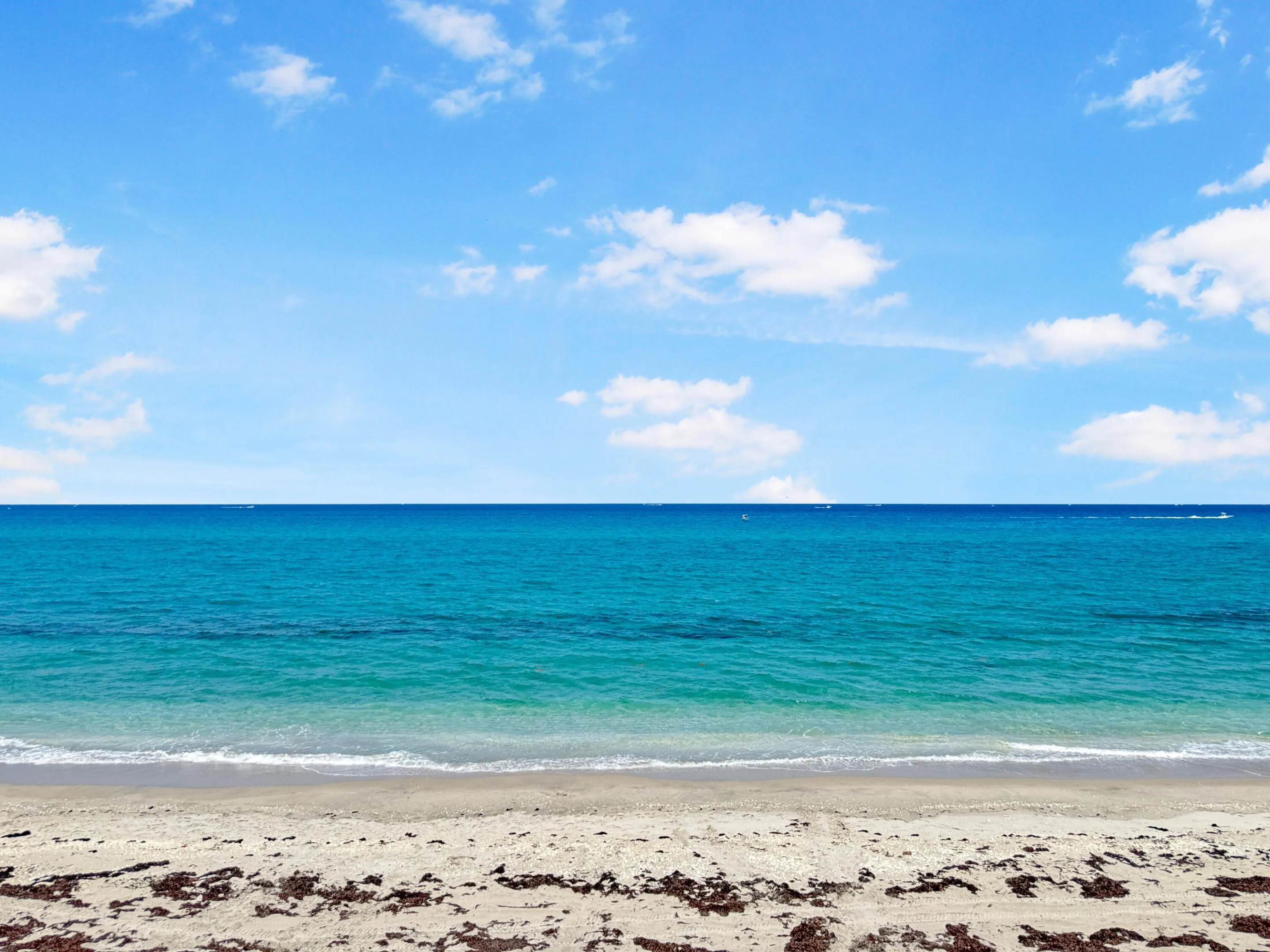 Ocean