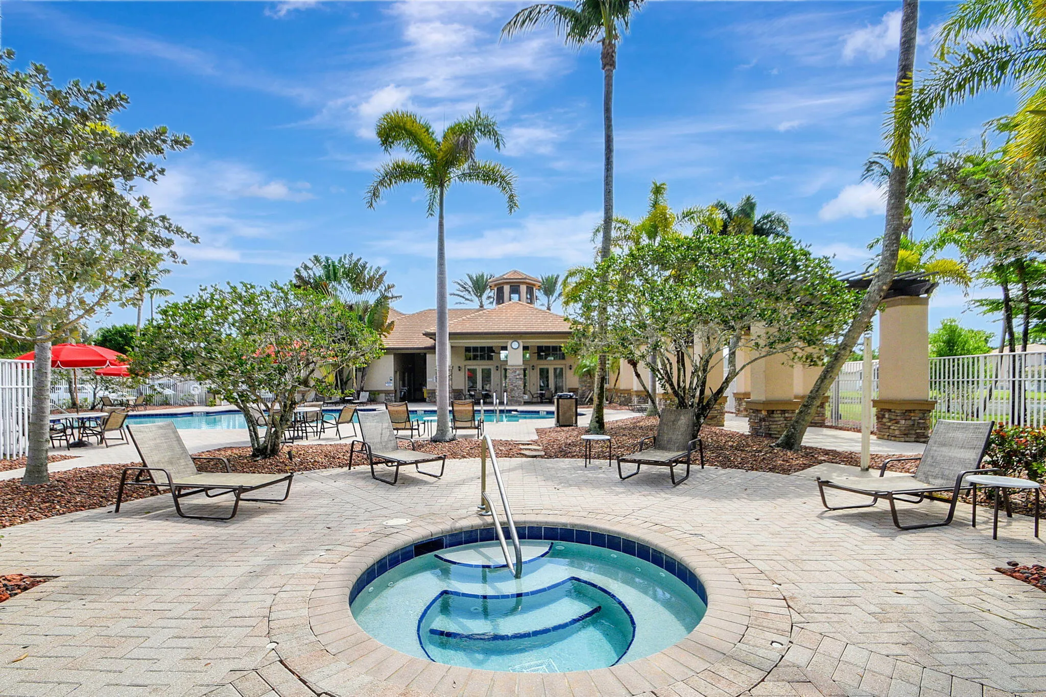 86-web-or-mls-80-web-or-mls-Thoroughbred