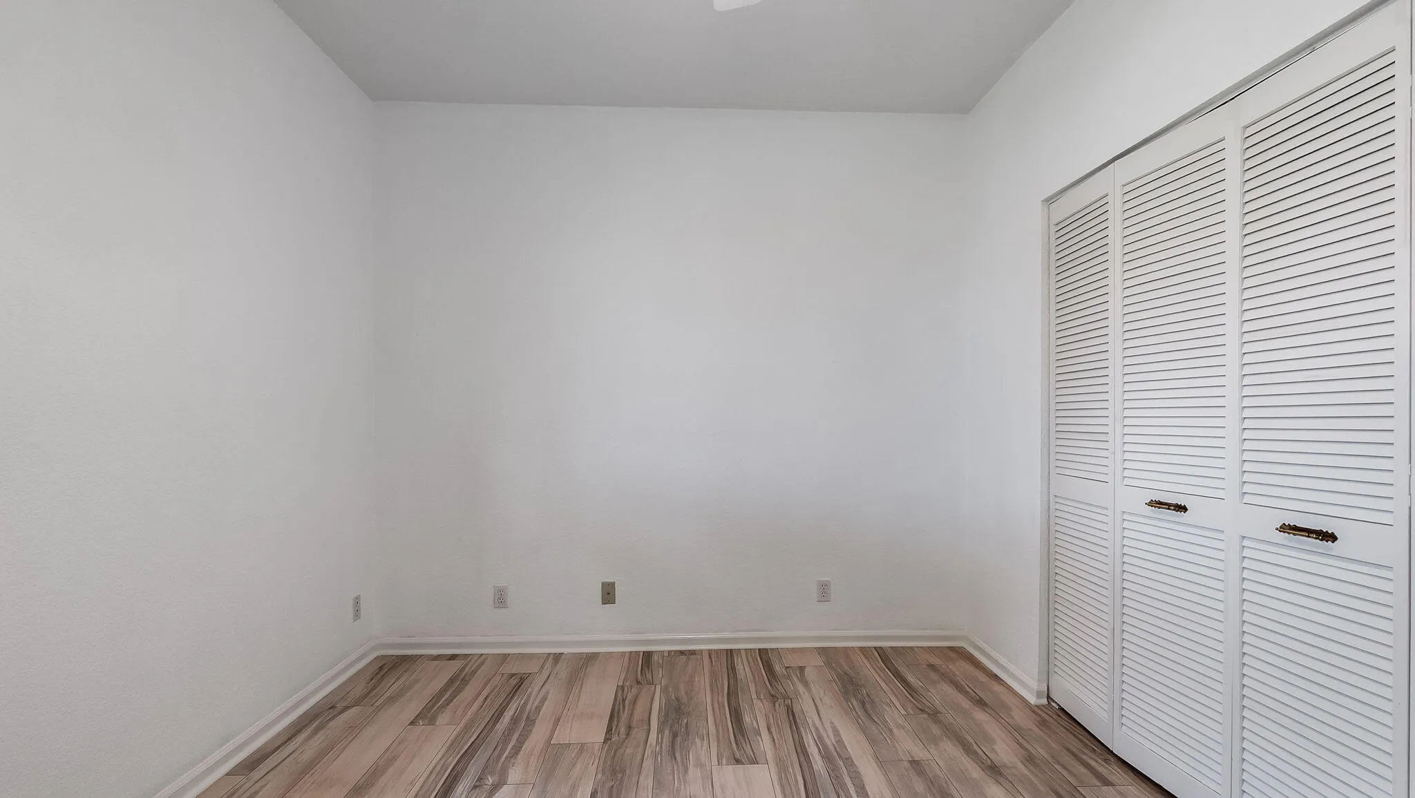 45-web-or-mls-DSC03135